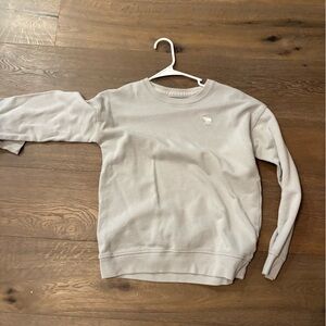 Abercrombie & Fitch Light Gray Kids Sweater